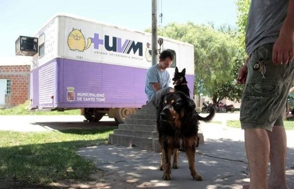 La Unidad Veterinaria Móvil Municipal realizó 3.840 castraciones y 2.835 vacunaciones antirrábicas durante 2021