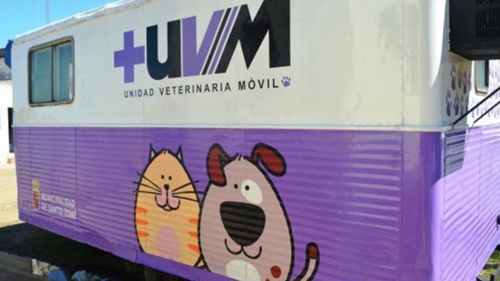 El próximo lunes se reanuda la Campaña Municipal de Castraciones 