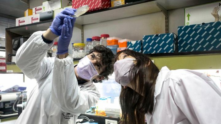 Un estudio vincula la hepatitis grave detectada en niños con el coronavirus