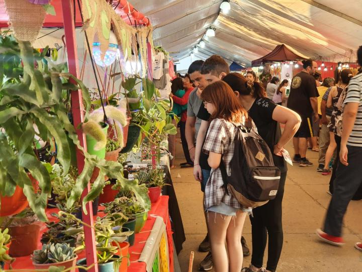 Con una multitudinaria concurrencia de vecinos pasó la 13ª Feria Nacional de Artesanías y Diseño