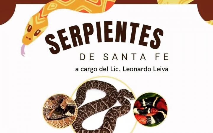 ¿Qué hacer si encuentro una víbora?: se llevará a cabo una charla informativa sobre serpientes