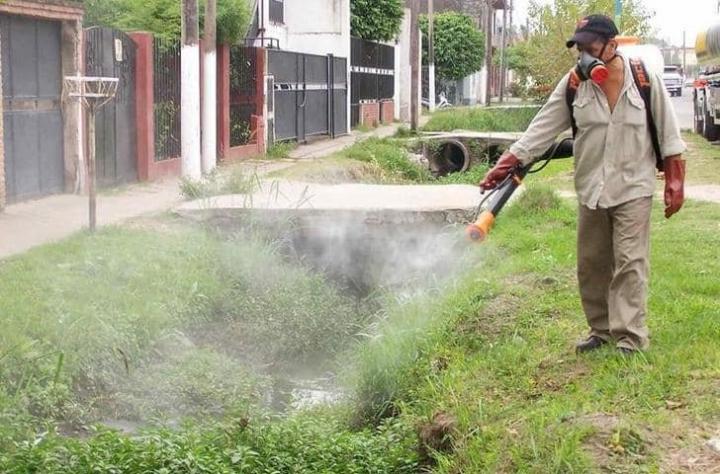 Se confirmó otro caso de dengue en nuestra ciudad 