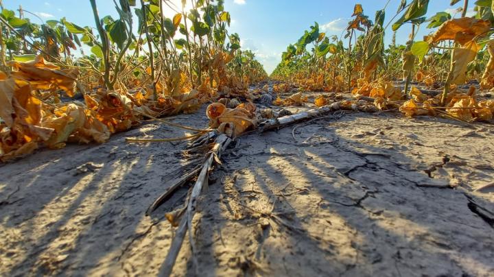 Emergencia Agropecuaria: La provincia reabre la inscripción a la línea para Recomposición Productiva 2023