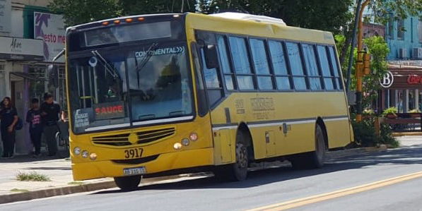 Transporte público: los beneficiarios del Certificado Único de Discapacidad no necesitan la tarjeta sube para viajar