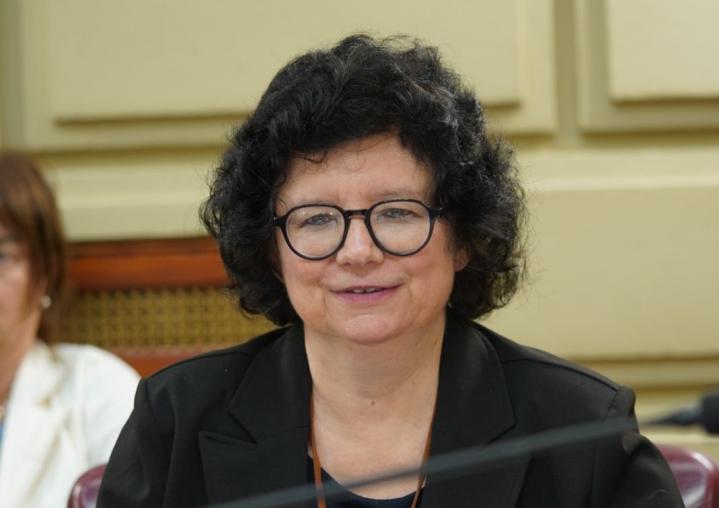 Malfesi: “Esta es una reforma de la casta para la casta” 