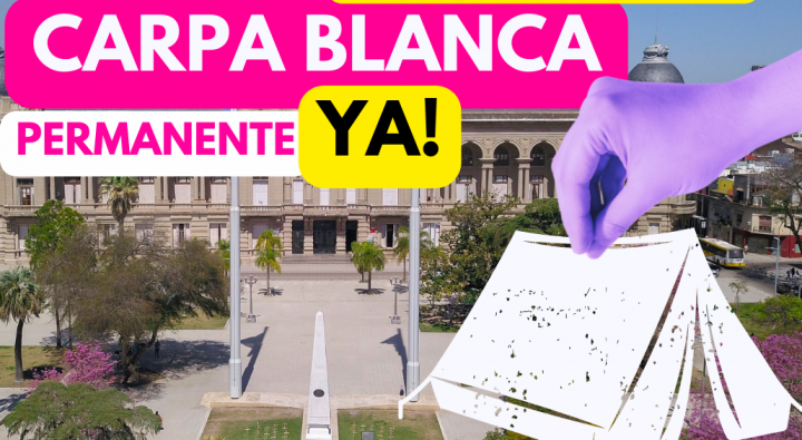 “Movimiento Docentes en Lucha” propone la instalación de un carpa blanca  frente a Casa de Gobierno