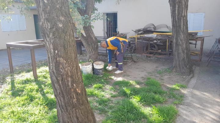 La Municipalidad refuerza la prevención del dengue durante el receso escolar