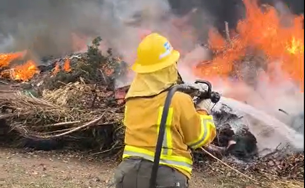 7 dotaciones de bomberos debieron intervenir