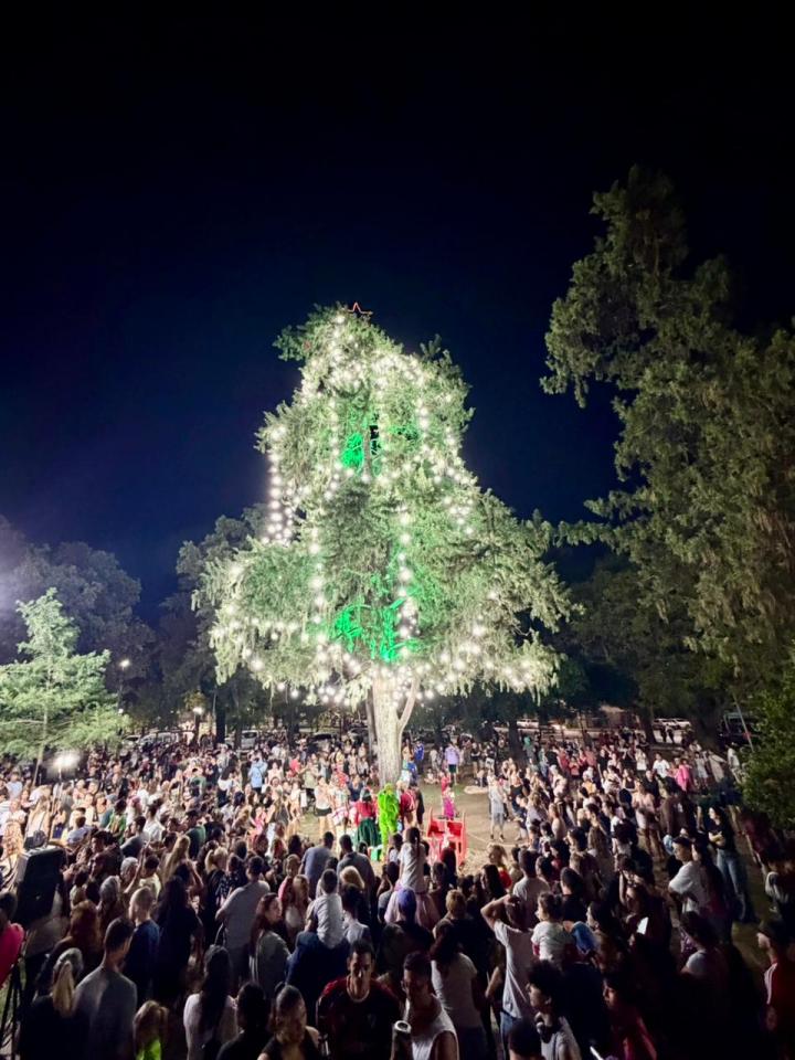 Se realizó el tradicional encendido del árbol de navidad de Plaza Libertad