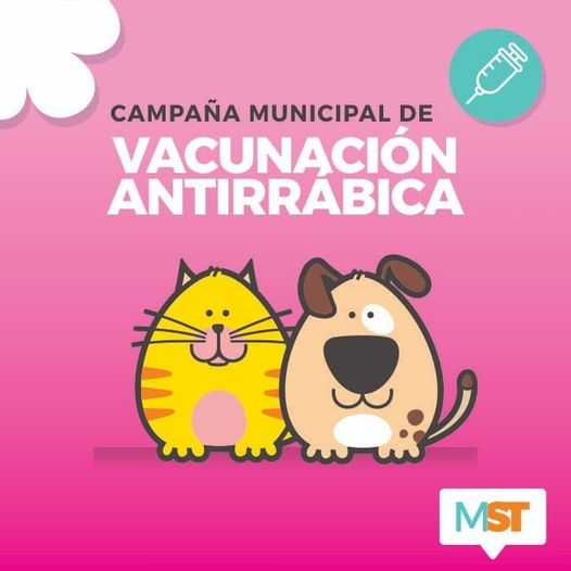 Hoy comienza el itinerario por los barrios de la Campaña Municipal de Vacunación Antirrábica